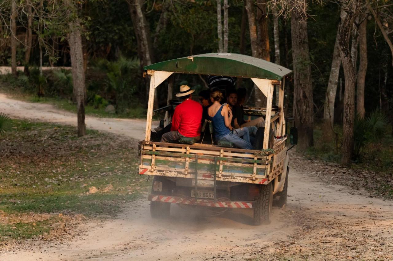 Pantanal Jungle Lodge Passo do Lontra ภายนอก รูปภาพ