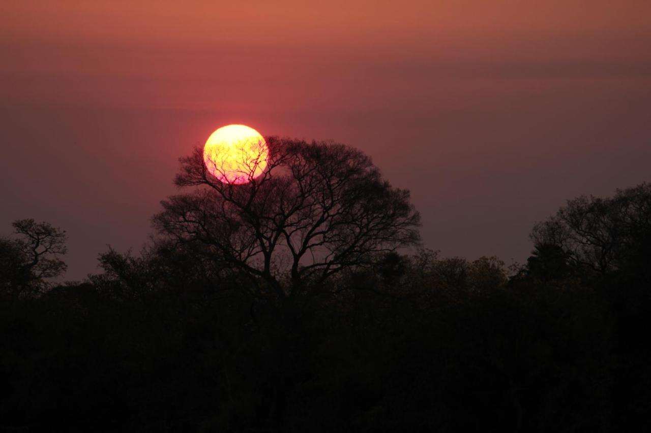 Pantanal Jungle Lodge Passo do Lontra ภายนอก รูปภาพ